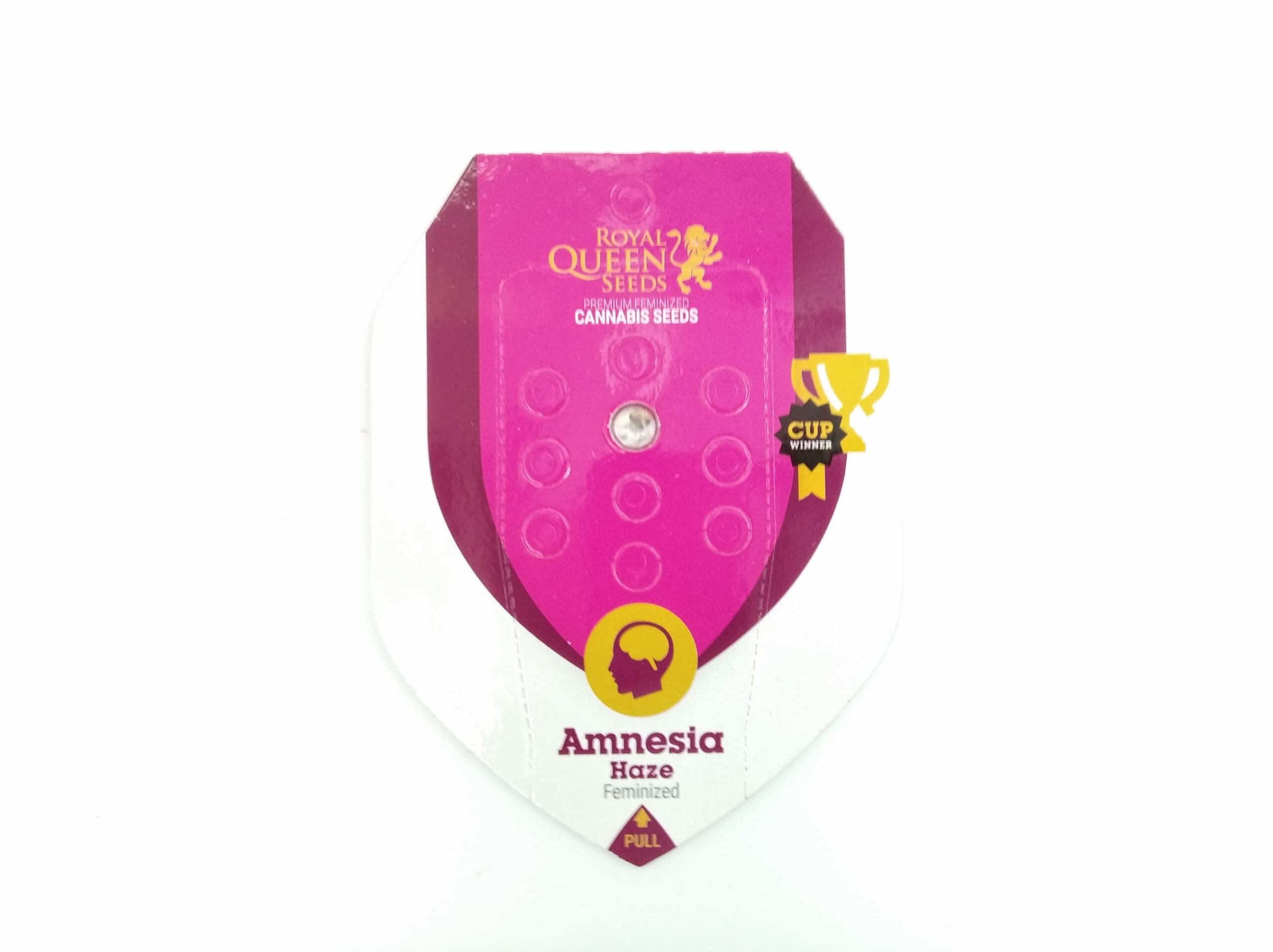 amnesia-haze-2 (1)